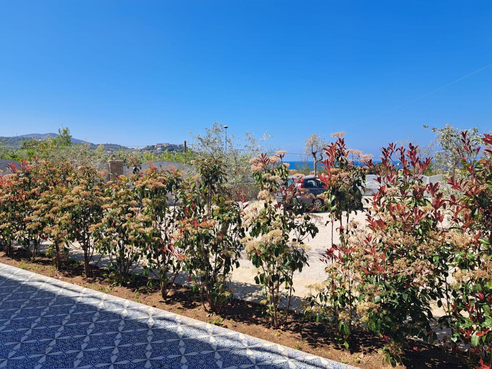 Paoma Bed & Breakfast Agropoli Eksteriør bilde