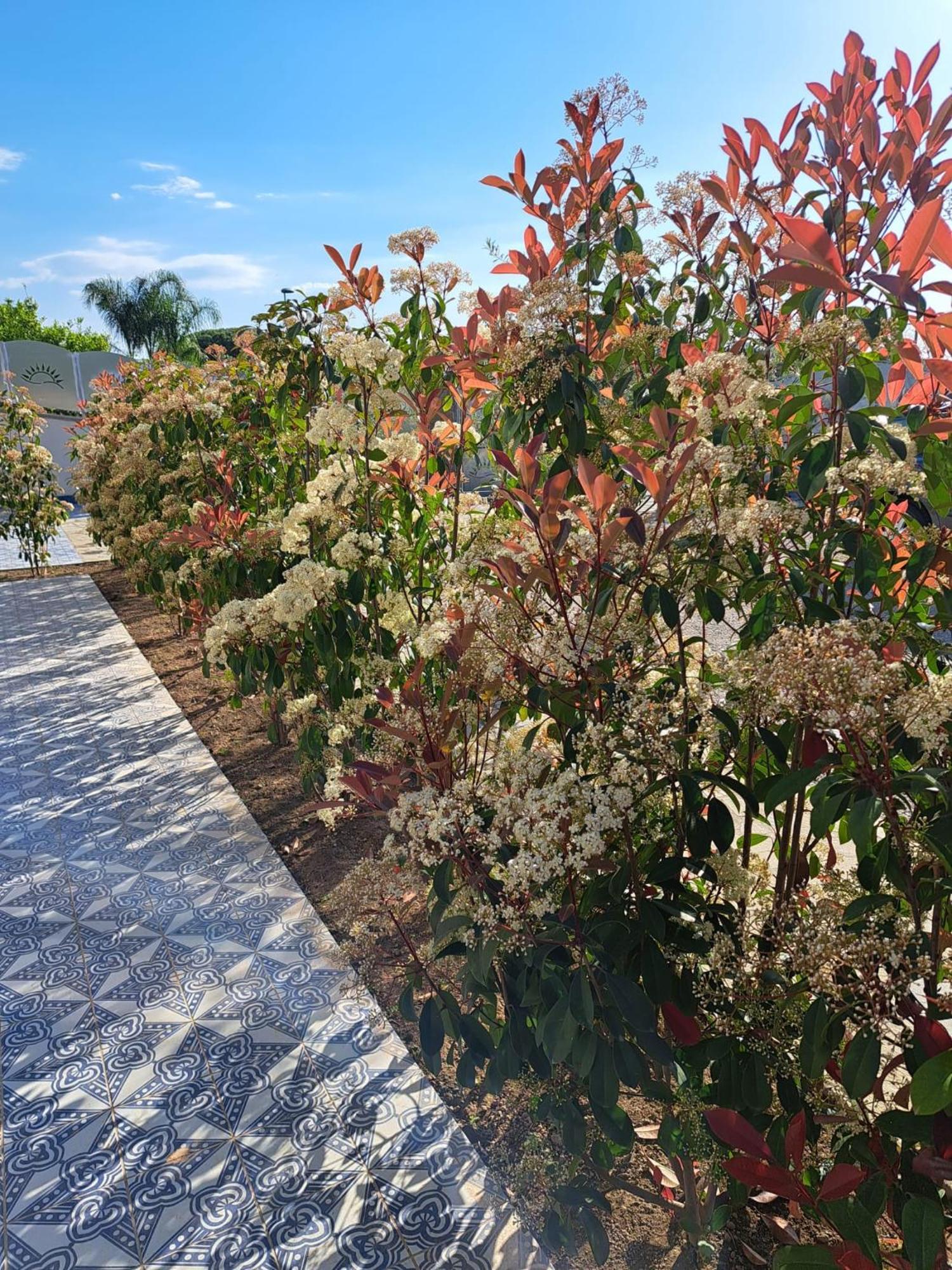 Paoma Bed & Breakfast Agropoli Eksteriør bilde